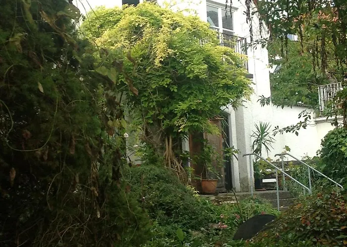 Bed & Kitchen בורגאו